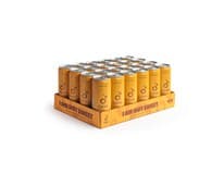 CANS mango 24 x 330 ml