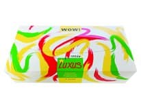 Kapesníky papírové 2vrstvé 5 x 100 ks box