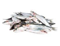 Ančovička chlaz. váž. 1 kg