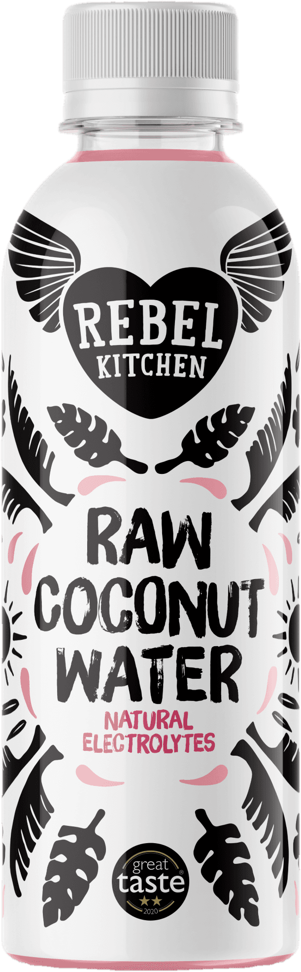 Rebel Kitchen Raw kokosová voda