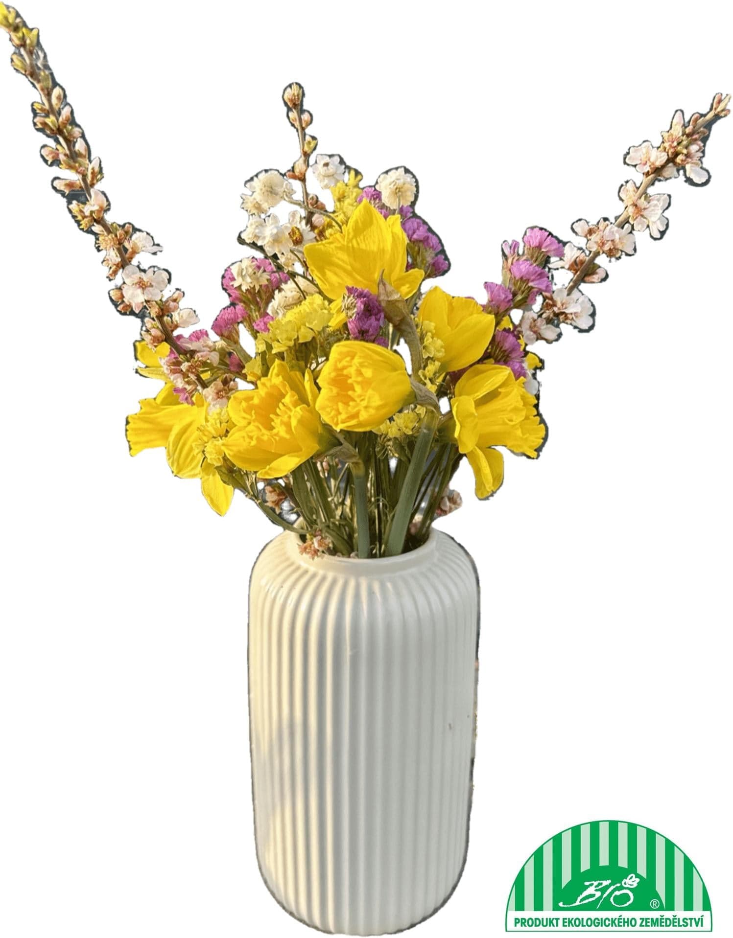 Vitenplant BIO jarní kytice s narcisy "Simply Flower"