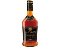 NAPOLEON Ambassador 28 % 700 ml