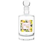 R. JELÍNEK BLN BIO Lemon Gin 41 % 500 ml