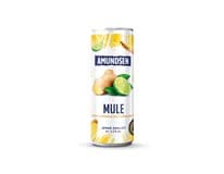 AMUNDSEN Mule 4,5 % 12 x 250 ml