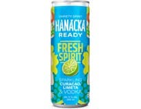 HANÁCKÁ Ready Fresh 5 % 24 x 250 ml