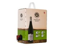 SOMMELIER SELECT Cabernet Moravia 3 l BiB