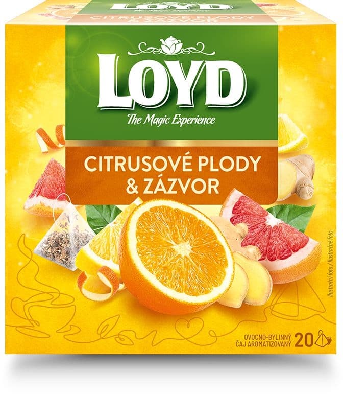 Loyd Pyramida Natur Ginger & Citrus Fruits Bylinno - ovocný čaj aromatizovaný porcovaný s příchutí zázvoru a citrusových plodů 20x2 g
