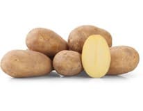 Brambory nové neprané 40+ čerstvé 10 kg síť