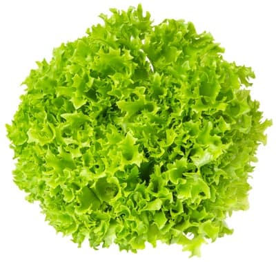 Farma Hrdlička Salát Crispy zelený
