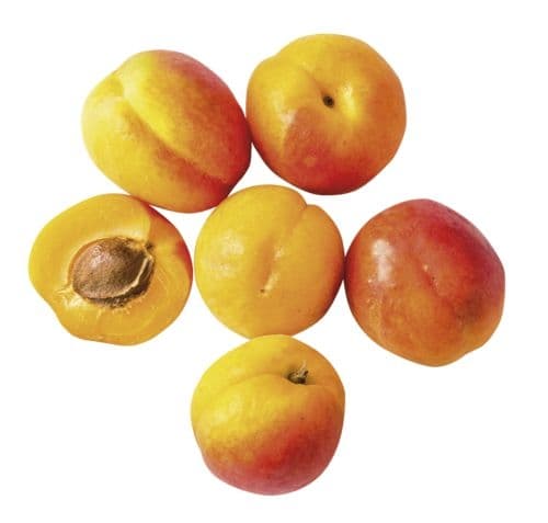 Meruňky balené 500g