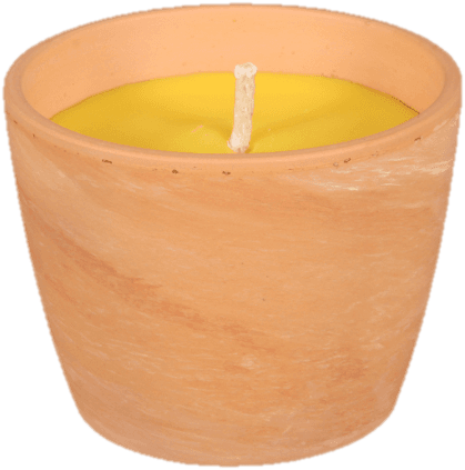Svíčka proti hmyzu CITRONELLA obal GUZMANIA 250g d10x8cm