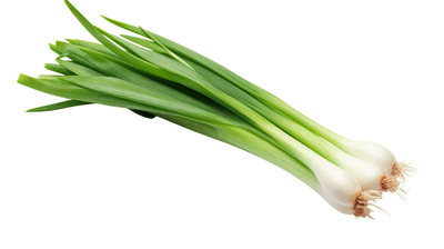 Farma Hana Součková Cibulka lahůdková jarní, svazek