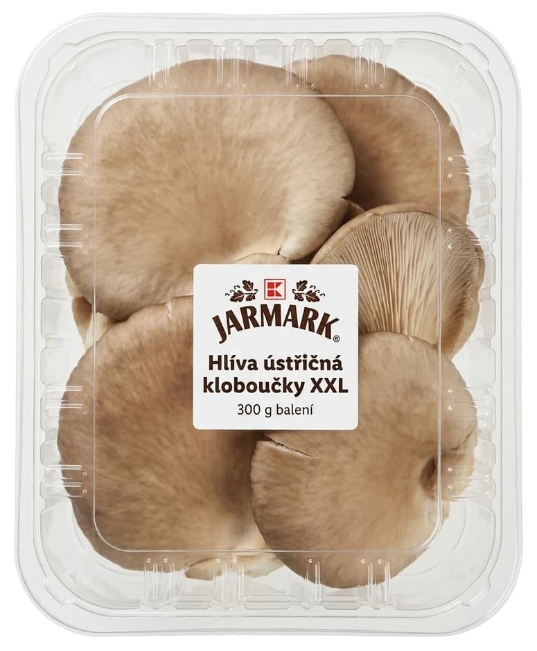 Hlíva ústřičná kloboučky XXL