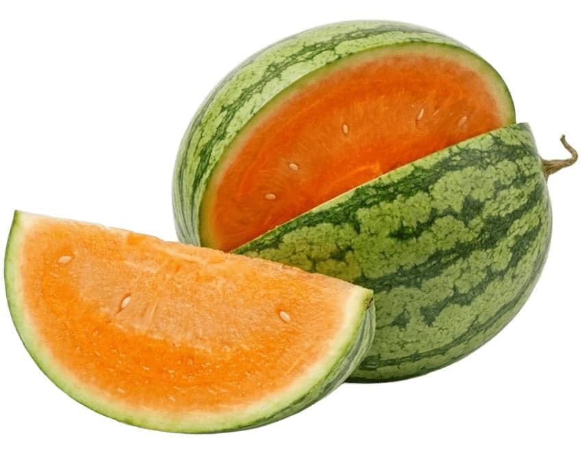 Meloun vodní oranžový 1 ks