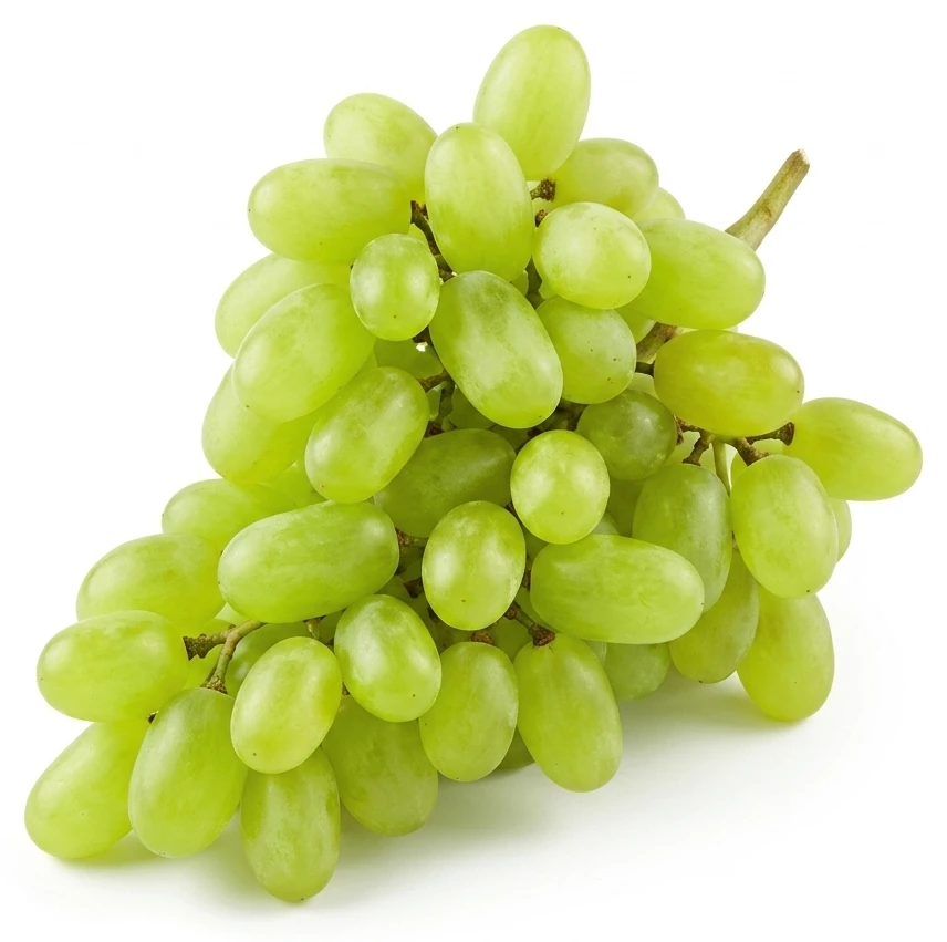 Hrozny révy vinné bílé