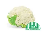BIO Květák 1 ks (cca 700 g)