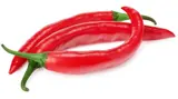 Chilli červené Cayenne 1 ks