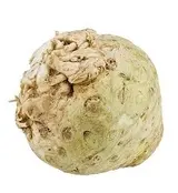 Celer bulvový 1ks