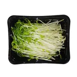Klíčky hrášku, vanička