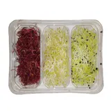 Klíčky mix tři druhy (3×20g), vanička