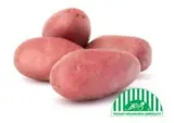 BIO červené brambory neprané, balení