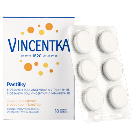 Vincentka Pastilky ovocné 18ks