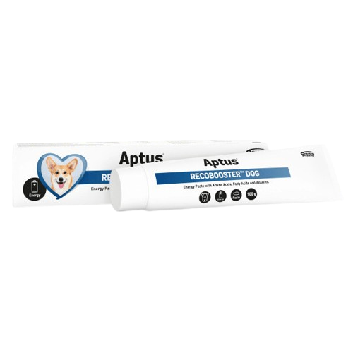 APTUS Recobooster Dog energetická pasta 100g