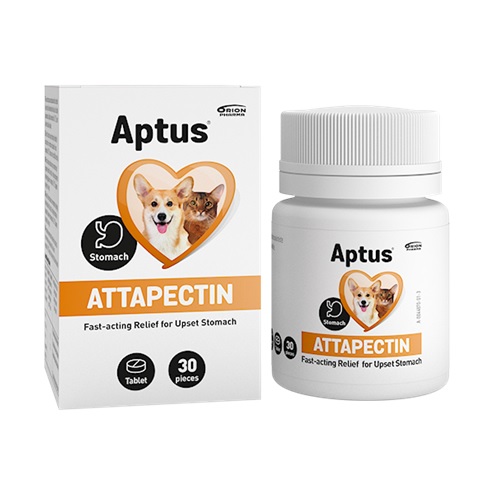 APTUS Attapectin vet.tbl.30