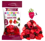 Mixit Křupavé ovoce do kapsy - Lesní mix