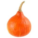 Dýně Hokkaido
