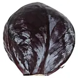 Zelí červené