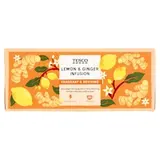 Ovocný čaj se zázvorem a citronovou kůrou 20 x 2g (40g)