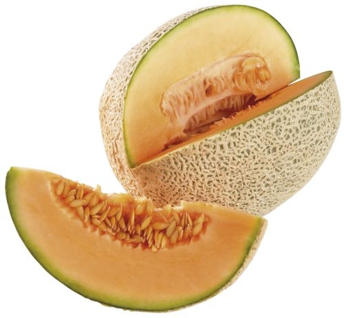 Meloun cukrový Cantaloupe