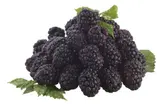 Ostružiny balené 125 g