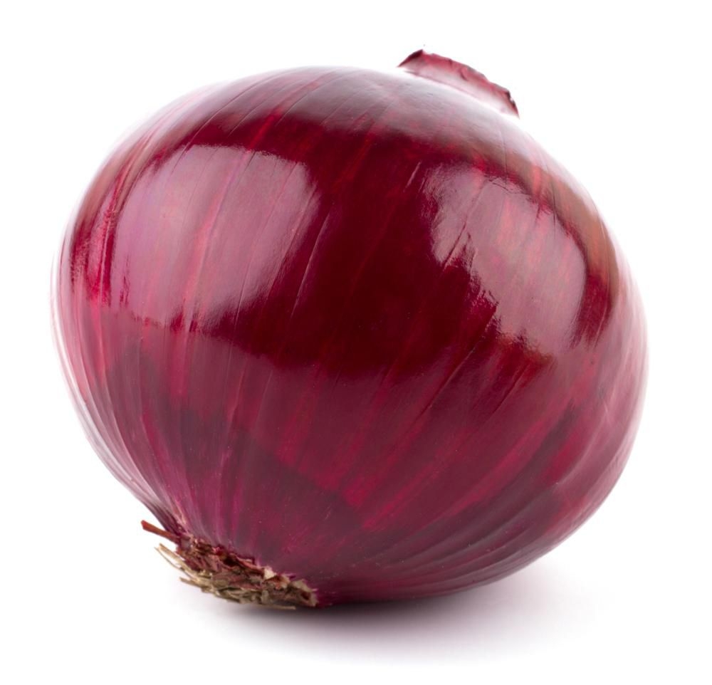 Cibule červená
