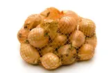 Cibule kuchyňská žlutá balená 1 kg