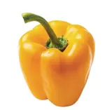 Paprika žlutá