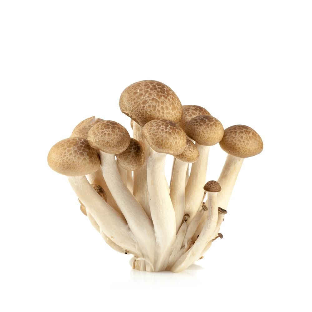Shimeji hnědé 150 g