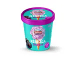 Zvolenský Ovocný sorbet černý rybíz 420 ml