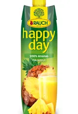 Rauch Happy Day Ananas 100% džus 1 l