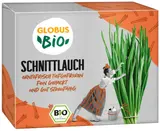 BIO pažitka 50g