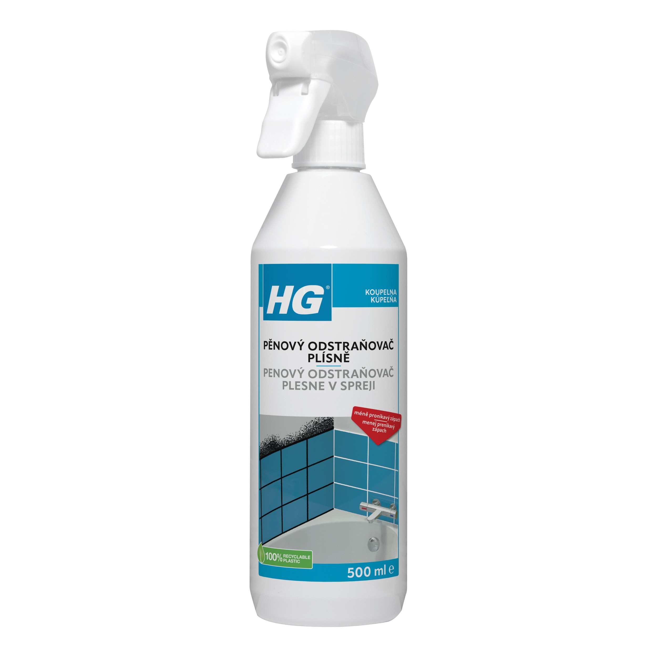HG Pěnový odstraňovač plísně 500 ml
