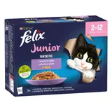 Felix Fantastic Junior lahodný výběr kapsičky pro kočky 12 x 85 g