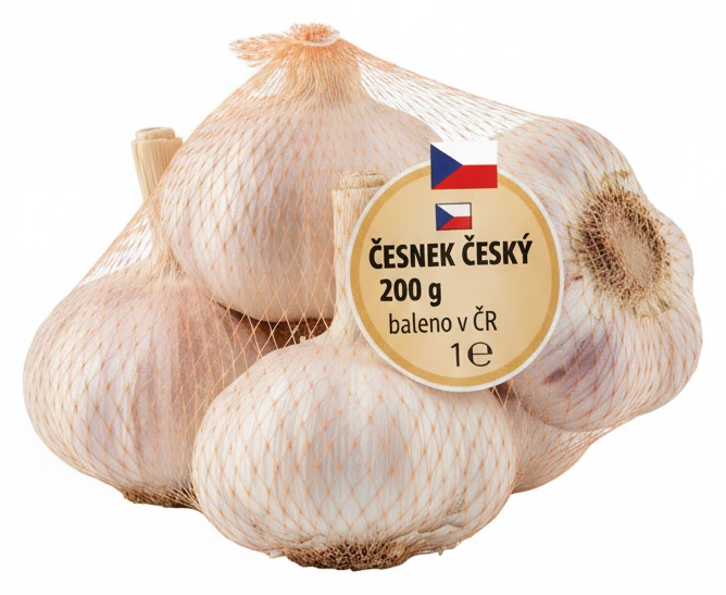 Česnek český