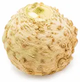 Celer