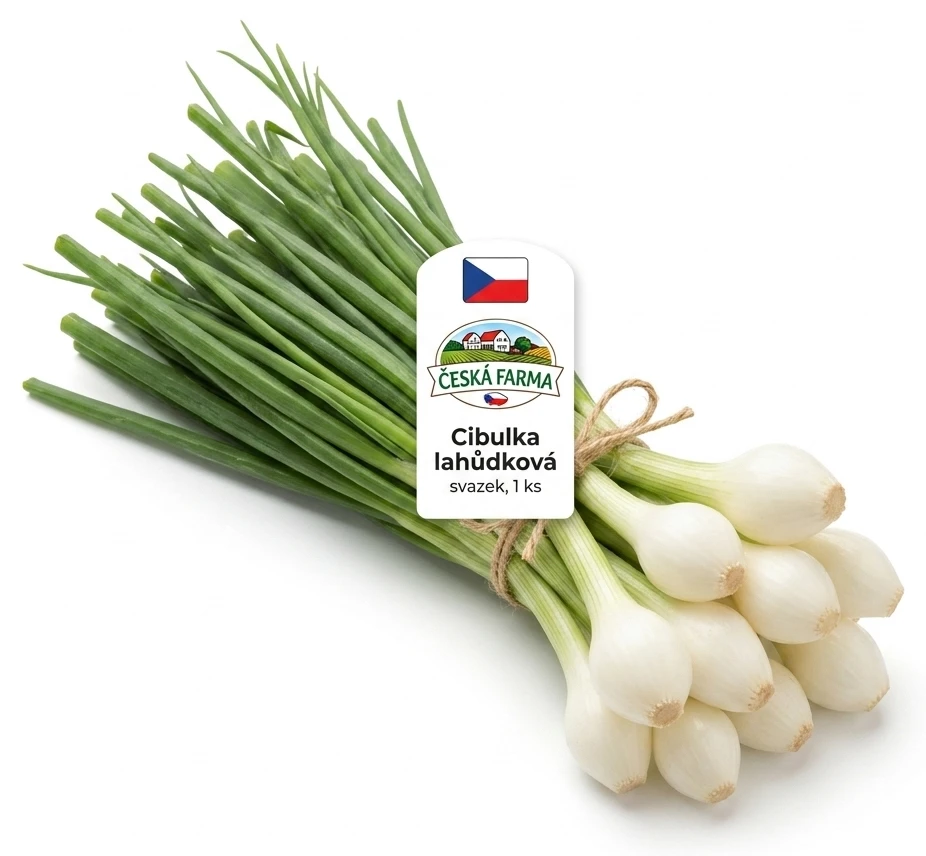 Cibulka lahůdková