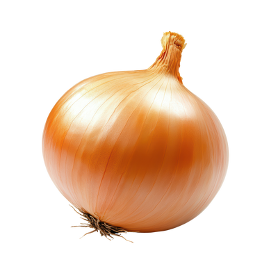 Cibule kuchyňská žlutá, 1 ks