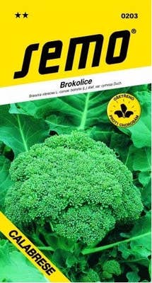 Semo Brokolice - CALABRESE
