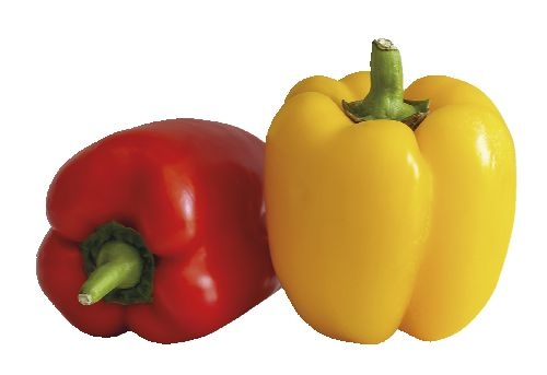 BIO Paprika mix 350g