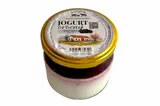Statek Slížany Jogurt ovocný lesní směs